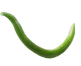 Droplet 13