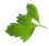 Droplet 5